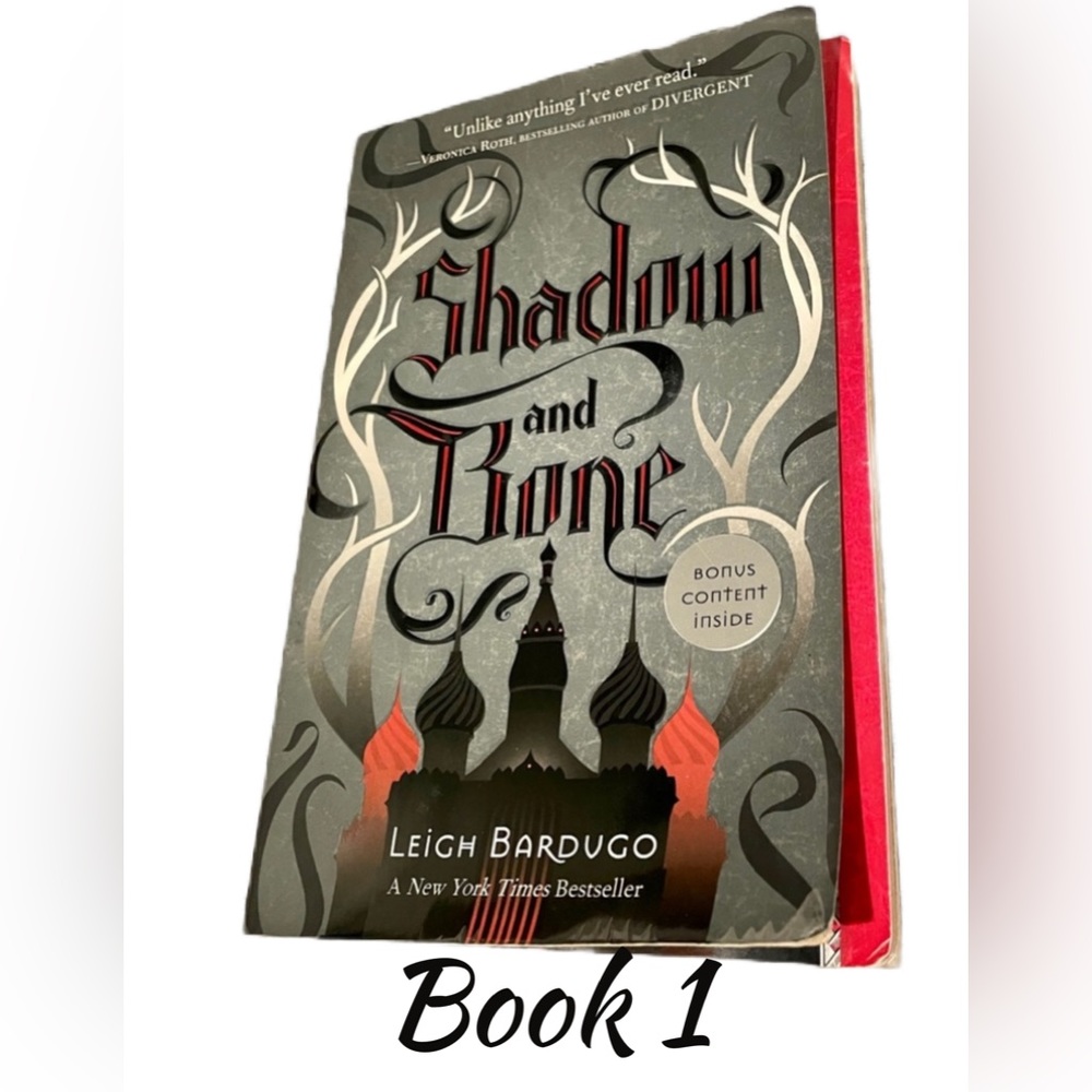 Shadow and Bone by Leigh Bardugo – Book 1 – Used for School